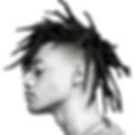 dreadlocks-styles-high-top-fade-undercut-medium_edited_edited.jpg