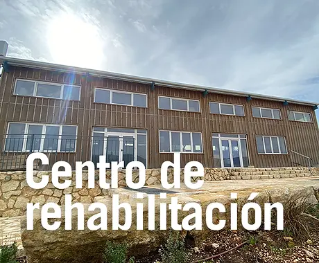 centro-de-rehabilitacion.webp