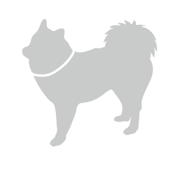 ホワイトジジ犬.gif