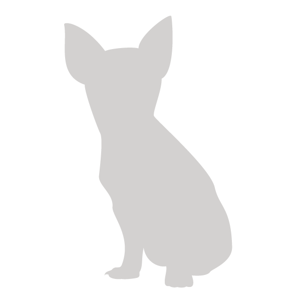 jiji犬.gif