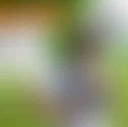 man putting gel pouch into running vest pocket whilst on a run