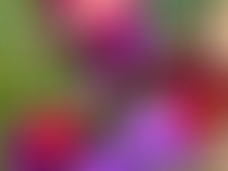 Scardinare le convinzioni erronee: il volere la approvazione da tutti