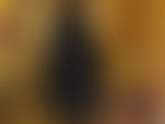 Avventurandomi nel Metaverso…