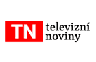 Televizní noviny