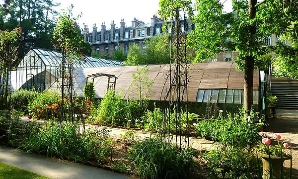 Jardín Botánico de la Facultad de Farmacia de París