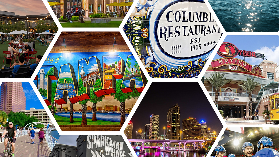 Tampa Collage.png