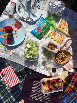 picnic 1