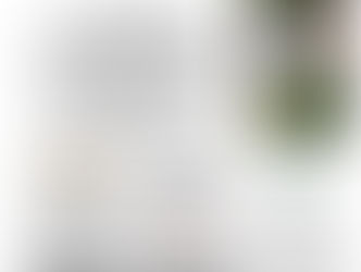 PIM Newspaper - Issue No. 2