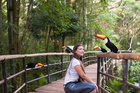 parque-das-aves-iguaçu.jpg