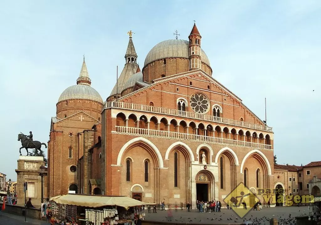 PADUA.webp