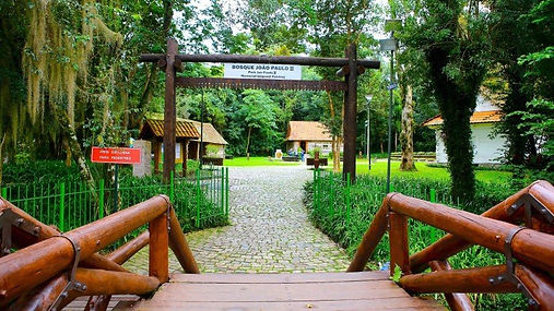 Bosque-do-papa-curitiba.jpg