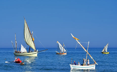 DSC_0209 DRETA I TONAL I POLARIZADA NOM 