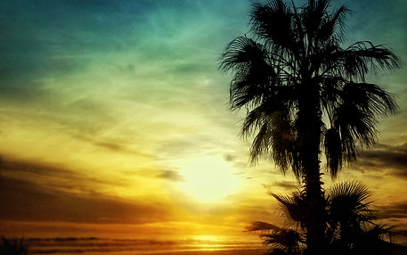 ELS COLORS DEL CAPVESPRE - LOS COLORES D