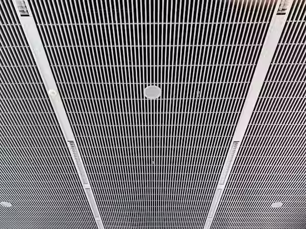 photo-1571439807981-d5cb74394688.avif