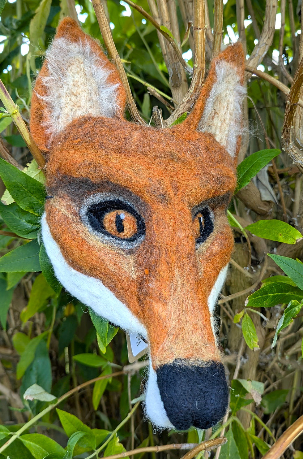 Felix the Fox