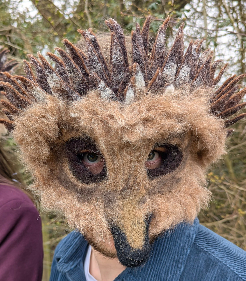 Thumbnail: Hedgehog "Hubert"