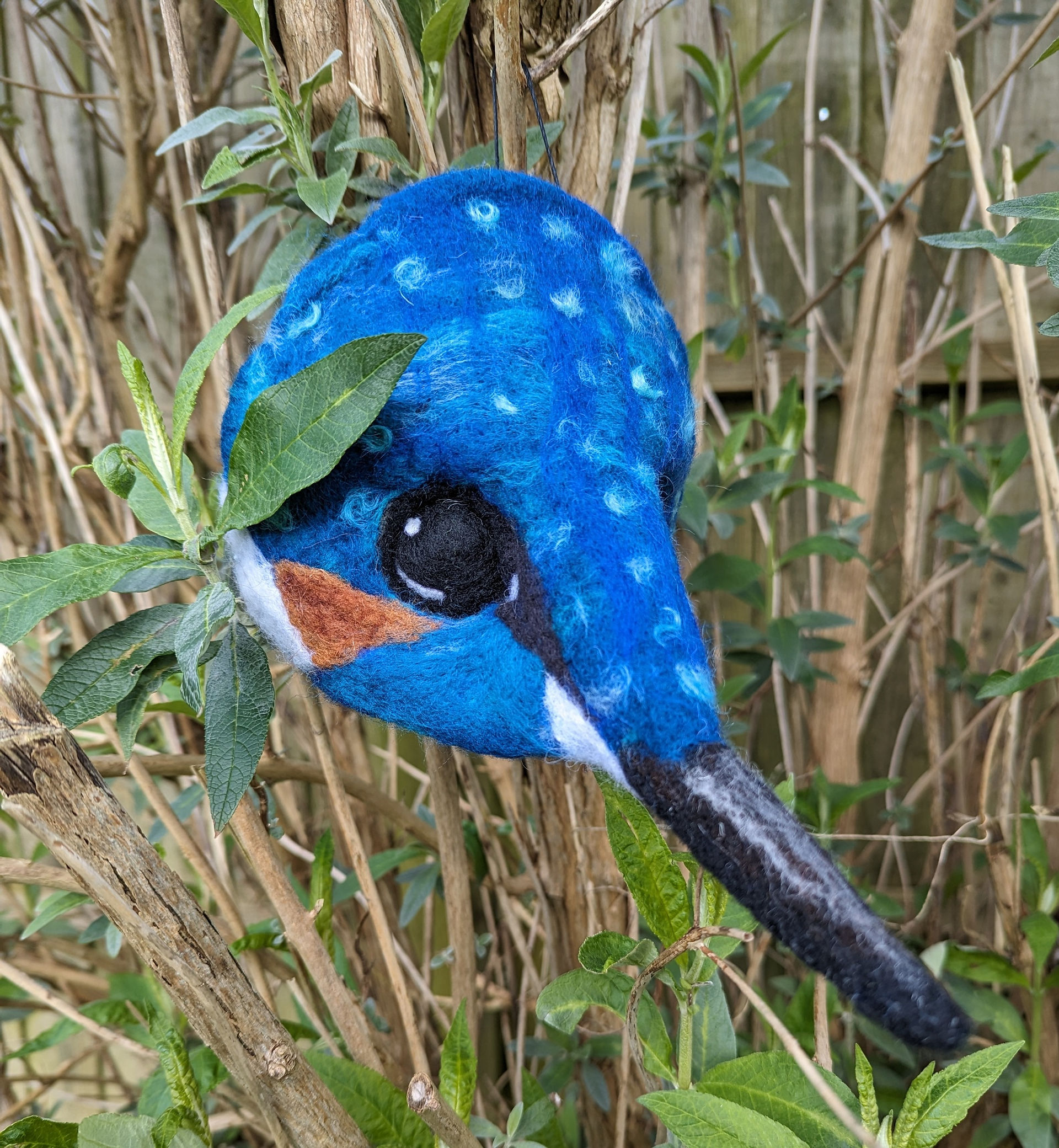 Kingfisher Mask
