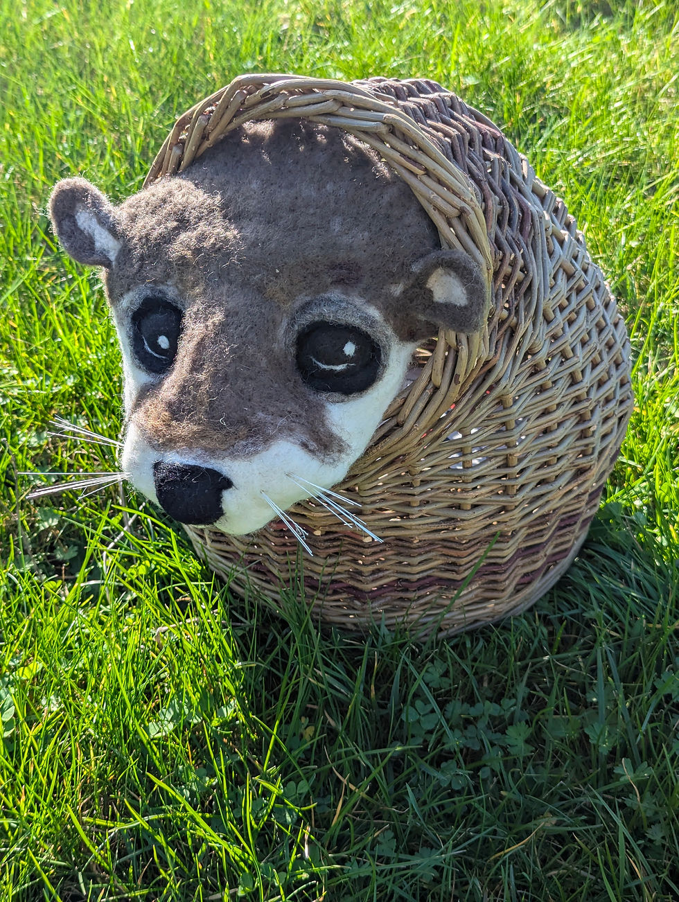 Thumbnail: Otter