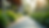 Close-up view of a serene outdoor space with calming plants