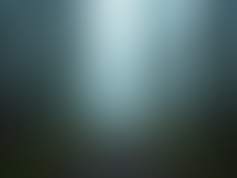 Understanding the Fear of Change and How to Embrace It