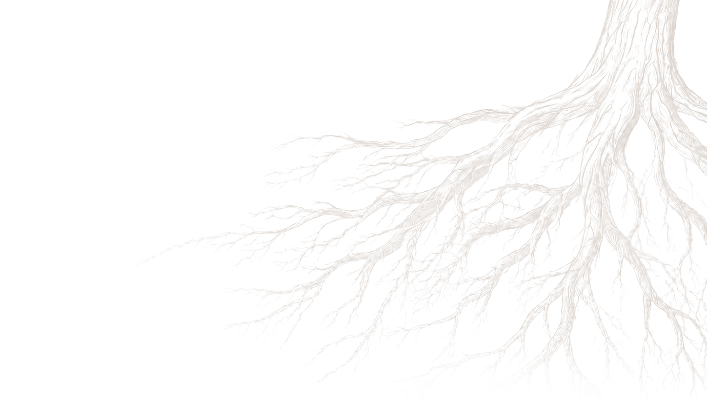 rooted_media_roots_transparent3546436545