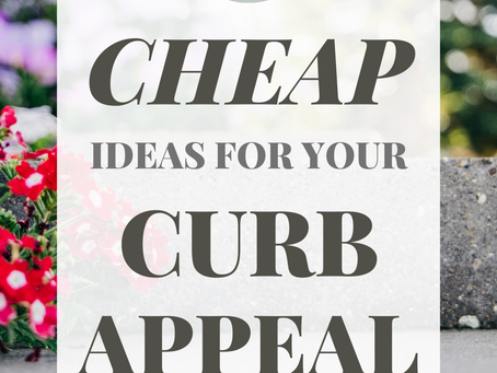 Curb Appeal on a Shoestring Budget: Sprucing Up Your Home with Style and Sass