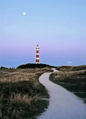Chemin pour sortir de la nuit.jpeg-min (1).webp