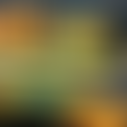 From Dong to Digital: Vietnam’s Dance Between Cash and the Future