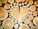 Log and wooden surfaces lower heart rate and reduce stress