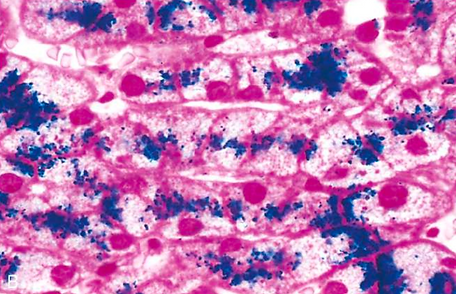 Captura de Tela 2025-09-30 às 15.56.49.png