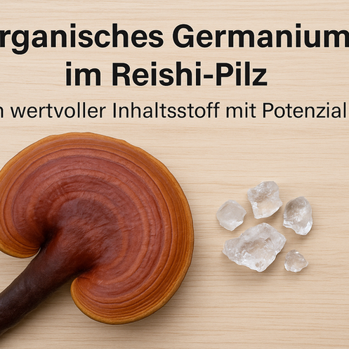 Organisches Germanium im Reishi Pilz (Ganoderma lucidum): Ein wertvoller Inhaltsstoff mit wissenschaftlichem Potenzial