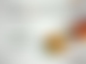 Herbst mit Vitalpilzen Tee + Extrakt