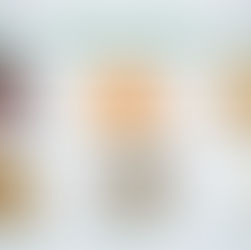 die wichtigsten Vitalpilze für Energie, Balance, Immunsystem im Winter