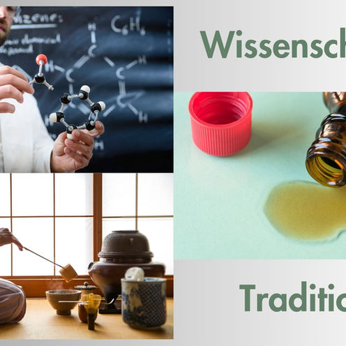 Vitalpilze: Tradition oder Wissenschaft? Ein spannender Blick auf die Heilkraft der Natur