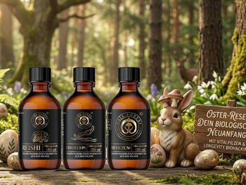 Drei Braunglasflaschen mit Verovitalis Vitalpilz-Flüssigextrakten (Reishi, Cordyceps, Hericium) stehen auf Moos in einem sonnigen Wald, umgeben von verzierten Ostereiern, Frühlingsblumen und einer Hasenfigur. Ein Holzschild trägt die Aufschrift: „Oster-Reset: Dein biologischer Neuanfang. Mit Vitalpilzen & Longevity Biohacking.“