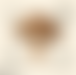 Shiitake mushroom Lentinula edodes TCM Anwendung