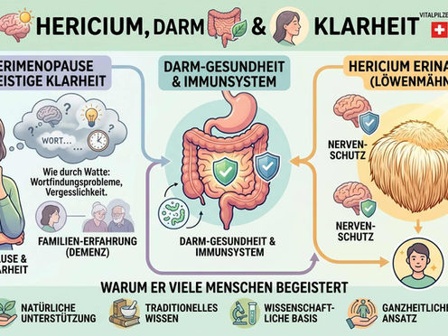 Die Grafik veranschaulicht visuell die Verbindung zwischen dem Vitalpilz Hericium, der Perimenopause, Darmgesundheit und geistiger Klarheit. Links ist eine nachdenkliche Frau mit einer Gedankenblase („Wortfindungsprobleme“) dargestellt, in der Mitte ein menschliches Verdauungssystem mit Schutzschilden und rechts der Hericium-Pilz mit Symbolen für Nervenschutz und Gehirngesundheit. Unten stehen vier Kernvorteile: Natürliche Unterstützung, traditionelles Wissen, wissenschaftliche Basis und ganzheitlicher Ansatz, gefolgt vom Verovitalis-Logo mit Schweizer Flagge.