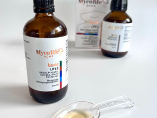 Functional mushrooms as liquid extract: Fast absorption, strong effect