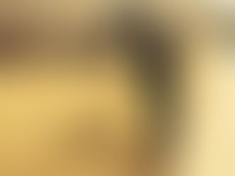 A German shepherd dog mix lying on her side while a human stands nearby holding the leash