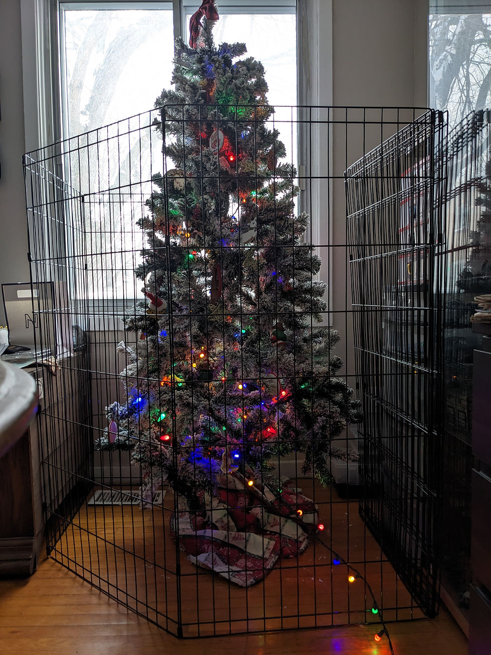 A decorated Christmas tree surrounded by a 4 foot tall exercise pen