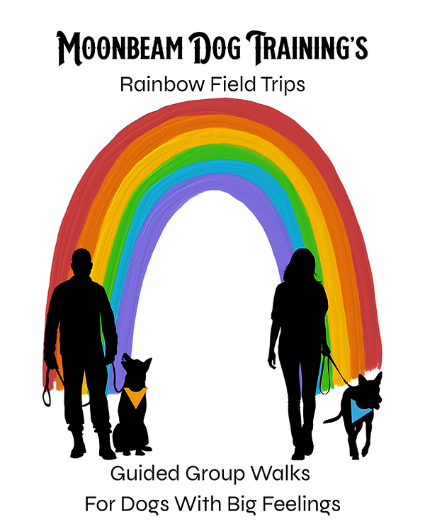 A white poster. At the top it says "Moonbeam Dog Training's Rainbow Field Trips". In the middle, two silhouettes of people walking their dogs in front of a rainbow. The silhouette on the left is a human standing still while their dog sits, the dog is wearing an orange bandana. The silhouette on the right is walking and their dog is wearing a blue bandana. At the bottom, text says "Guided Group Walks for Dogs WIth Big Feelings"