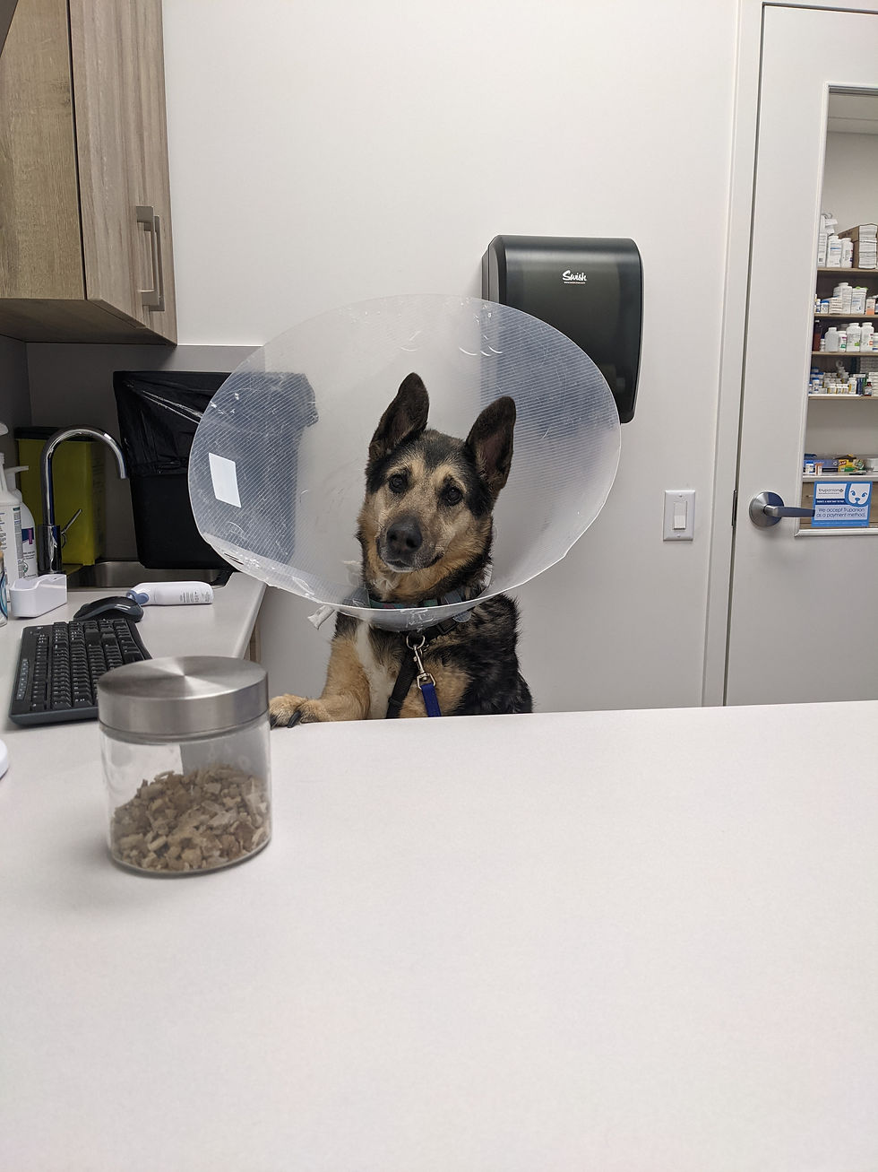 Libby Vet Visit