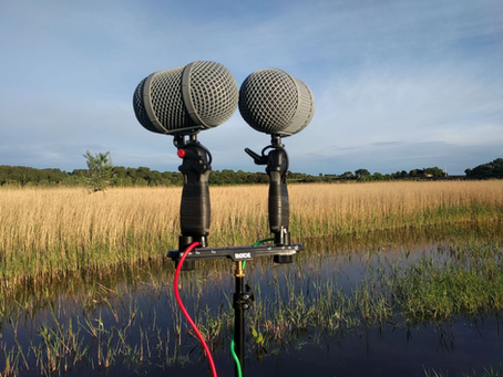 On Sets and In Studio: A Sound Recordist’s Dual Perspective