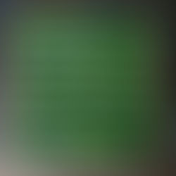 Chả lá lốt - feuille Lot farcie à la vietnamienne