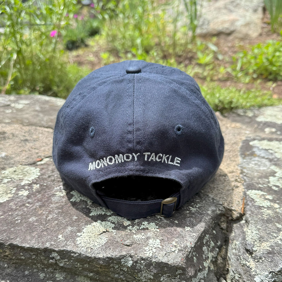 Thumbnail: 'Morris Island' Dad Hat - Navy