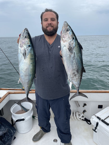 Understanding Lures for Bonito and False Albacore - Updated 2024