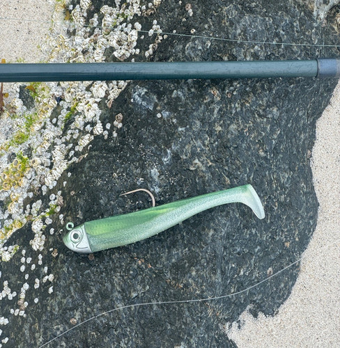 【新品】Paddle Bait 190 gator-catfish-paddle-swimbait-