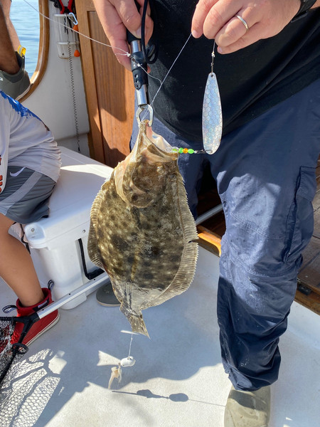 Fluke Rigs | Monomoy Tackle