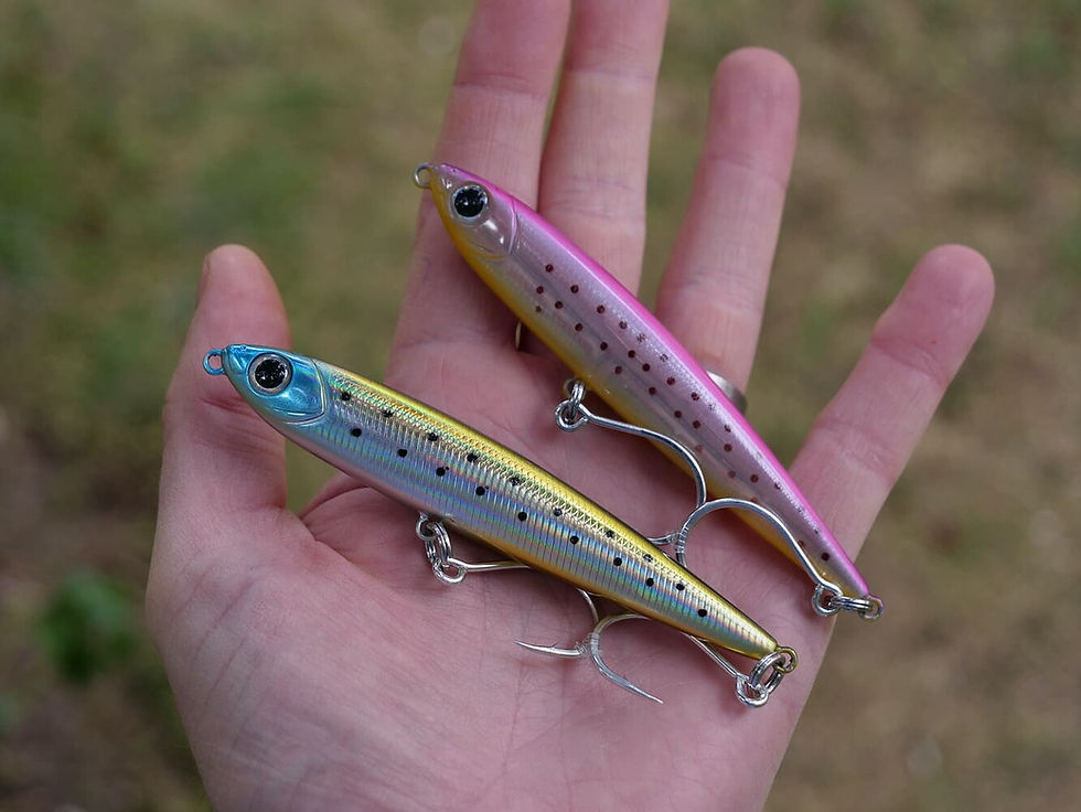Dart_RC_photo.jpeg