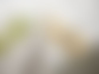 2024年どうぞよろしくお願いします